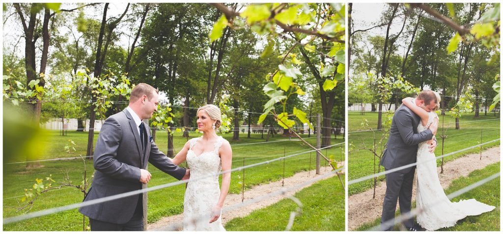 Des Moines Photographer