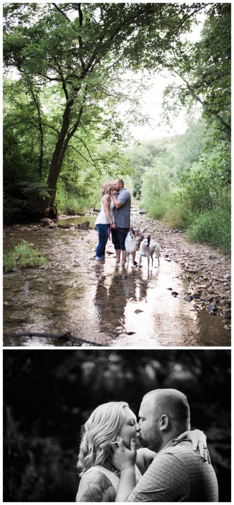 Des Moines Photographer|Ledges State Park