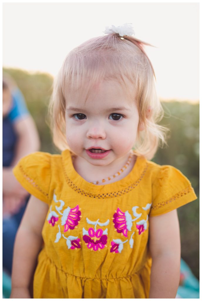Des Moines Photographer